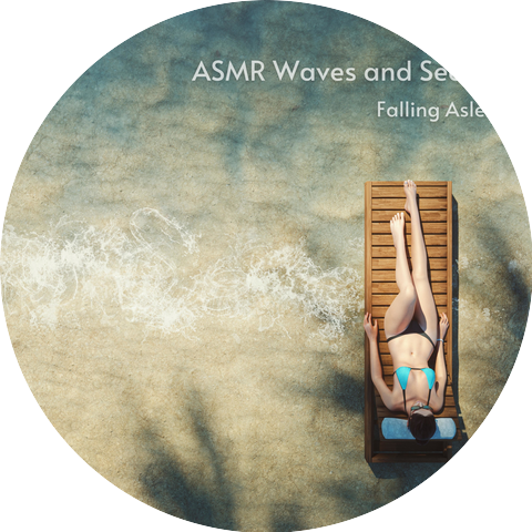 ASMR Waves and Seagulls