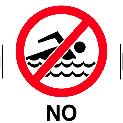 Swan Ronson