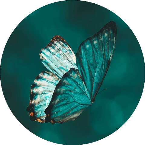 Tachyon Butterflies