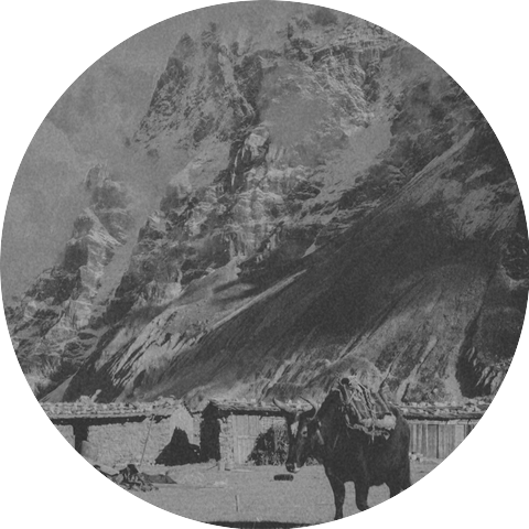 Idle Moon