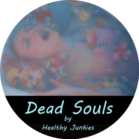 Healthy Junkies