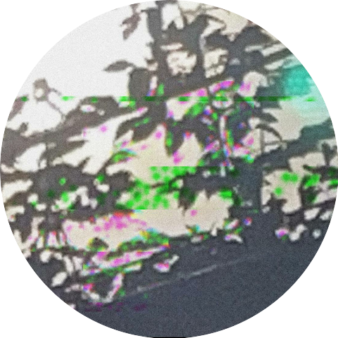 fake designer outfit