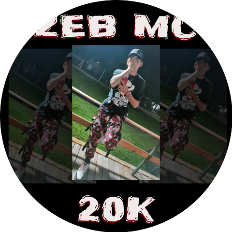 ZebMC