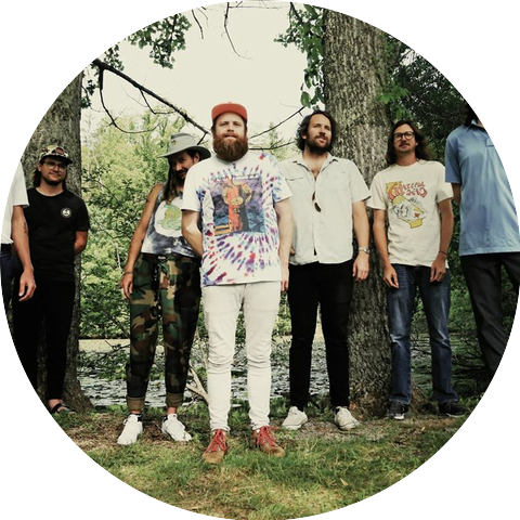 Futurebirds