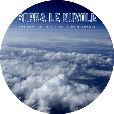 The New Central Park Night Ensemble