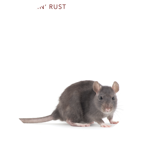 The Rollin' Rust
