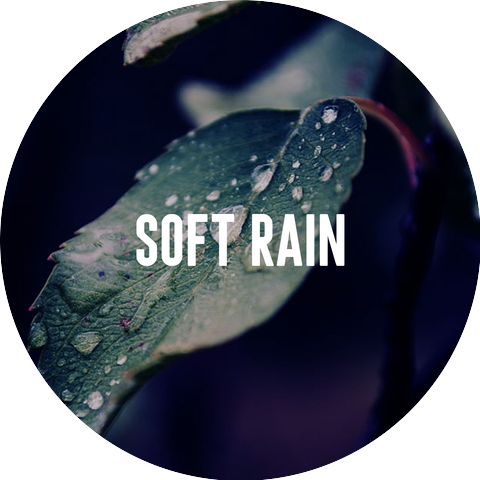 Rain Sounds Lab and Rain Sounds Sleep Lab