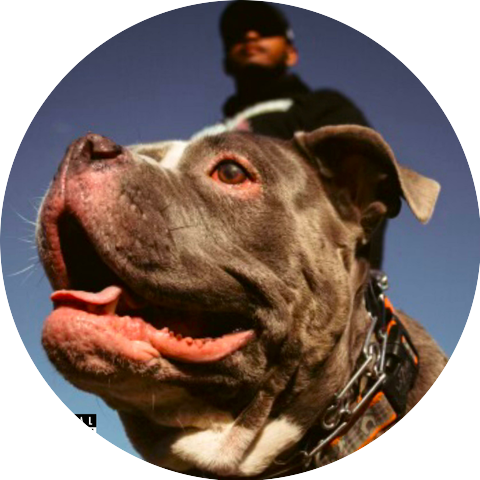 G.R.U.B.Life D & Geechi Meach