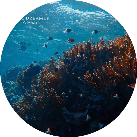 Aquatic Dreamer