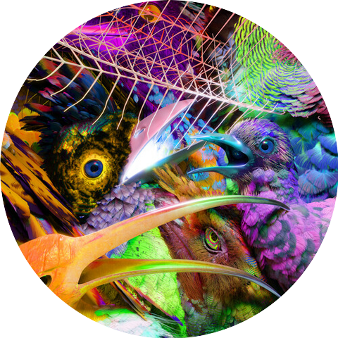 Flume and Otik