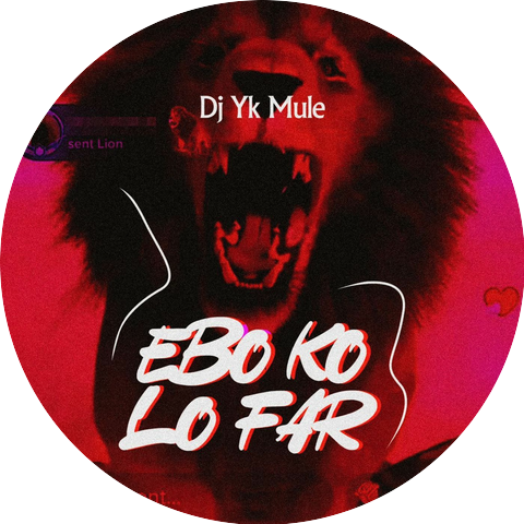 Dj Yk Mule