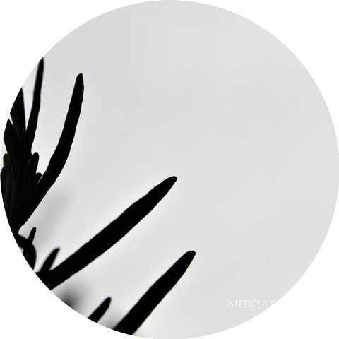 Ital Foundation Sound