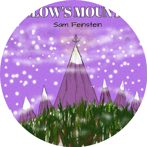 Sam Feinstein