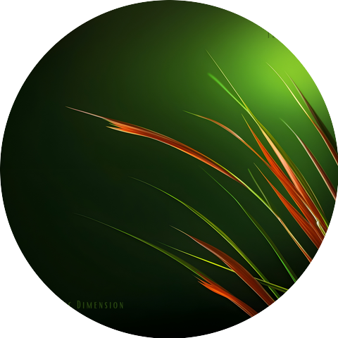 Dynamic Dimension