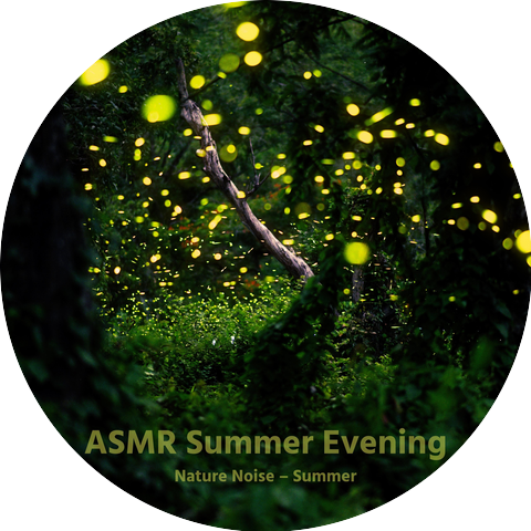 ASMR Summer Evening
