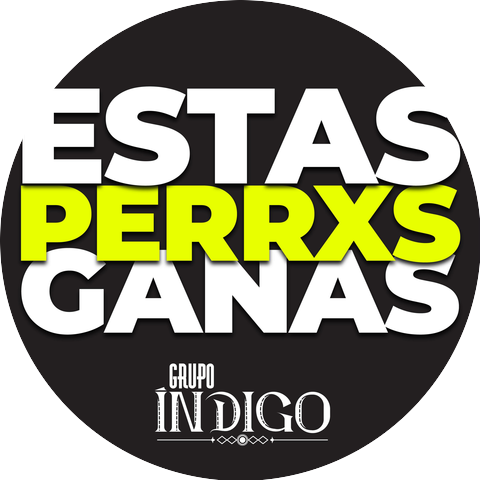 Grupo Índigo