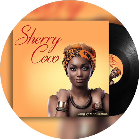 Mr Attention SkylevelDon