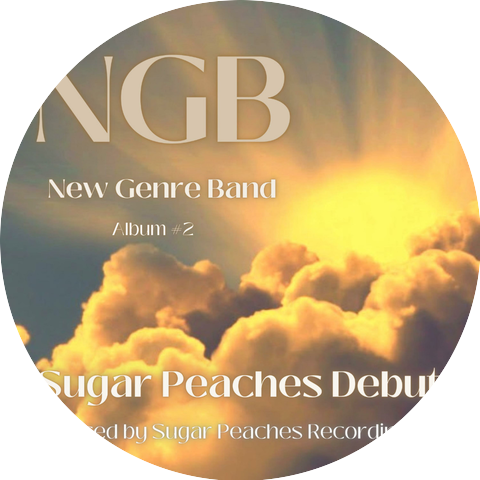 New Genre Band