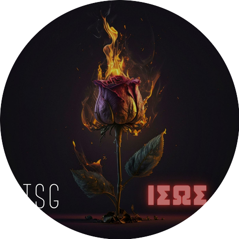 TSG.VIBES