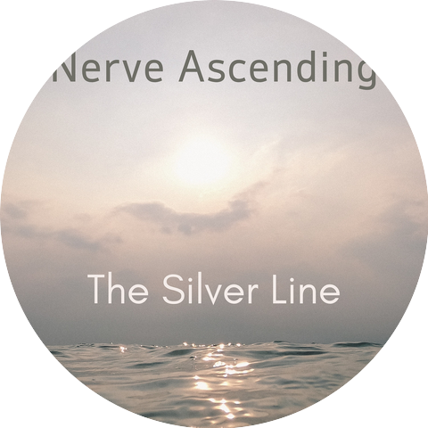 Nerve Ascending