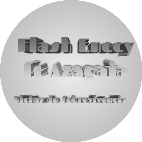FLASH ENCCY