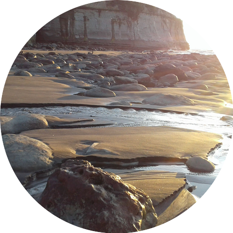 Sound Fields Ensemble