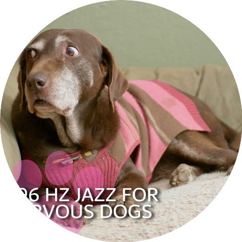 Dog Frequencies