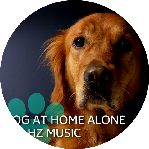 Dog Therapy Zone