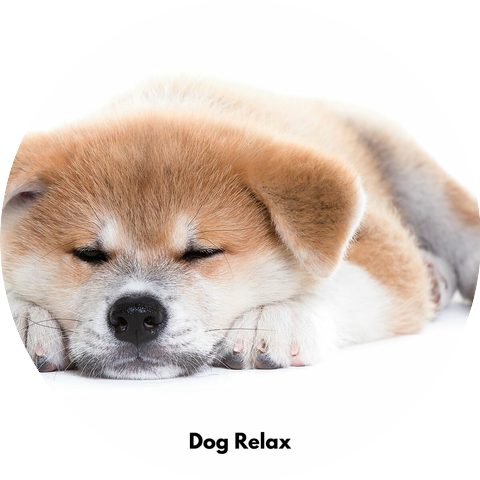 My Dog Relax