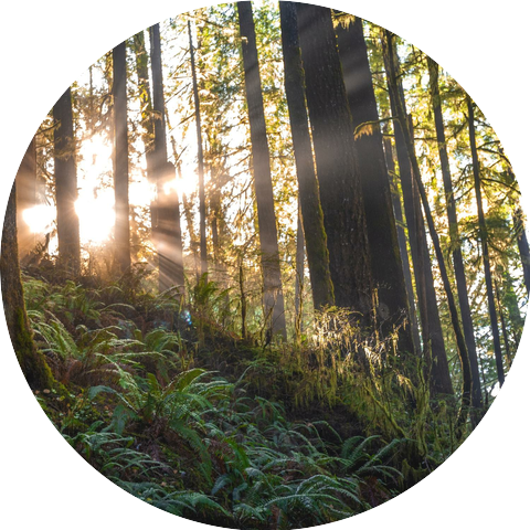 Restez détendu White Sound