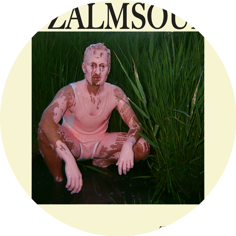 Ron van Zalmsaus