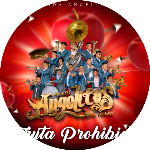 Banda Los Angelitos de Hidalgo