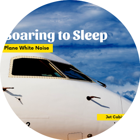 Jet Cabin Noise