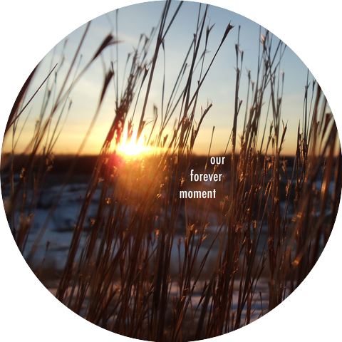 Elwyn Alexander Fraser Junior