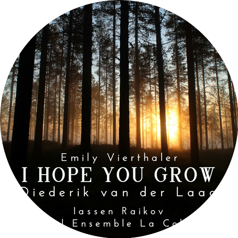 Diederik van der Laag