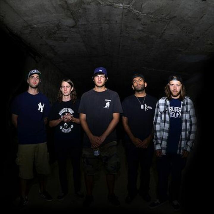 Backtrack