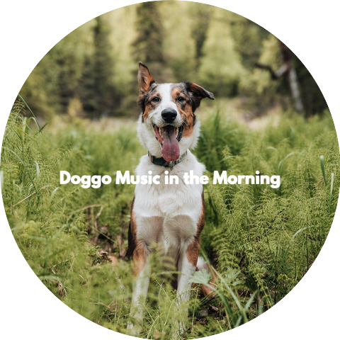 Musica Rilassante per Cani