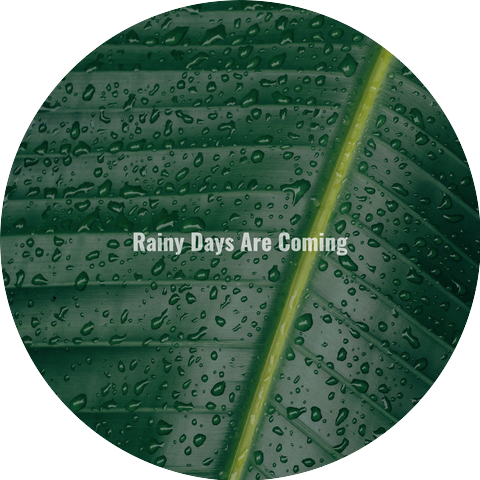 Rainy Days Are Coming