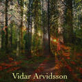 Vidar Arvidsson