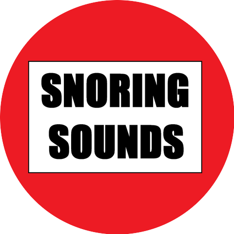 The sound of snoring