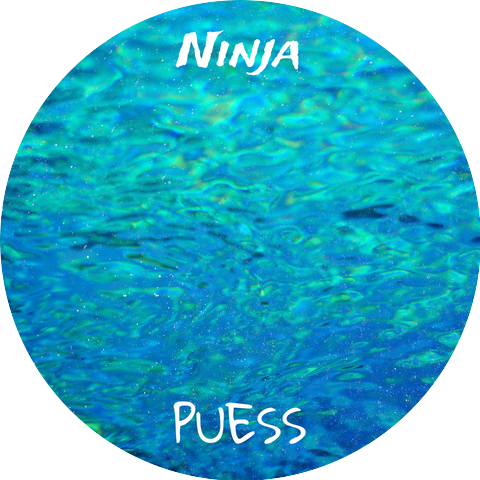 PUESS