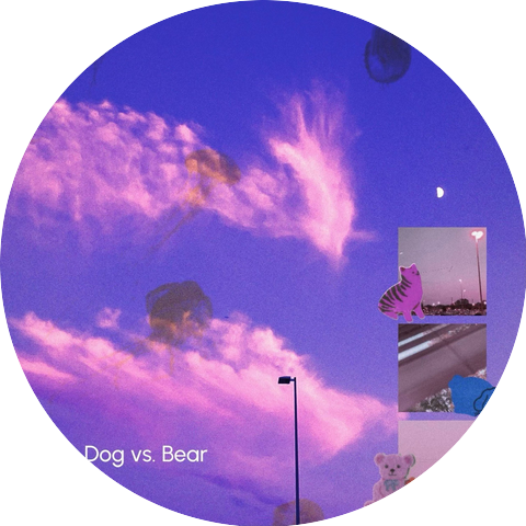Cat dog Bear