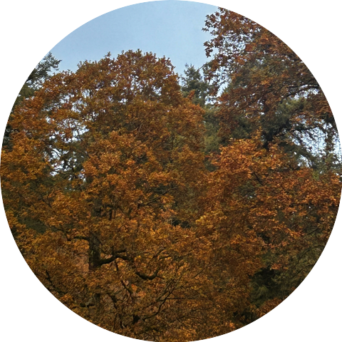 The Power of the Earth