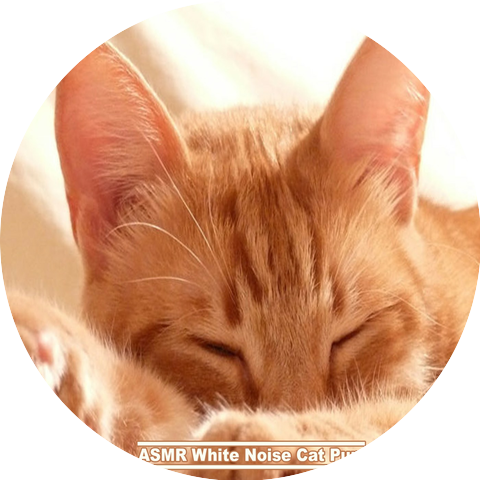 ASMR White Noise Cat Purr