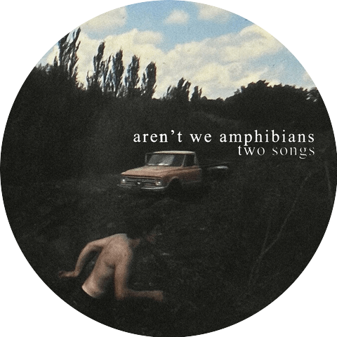 Aren't We Amphibians