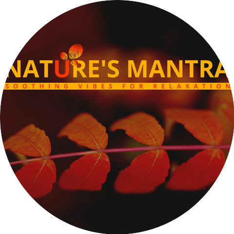 Yoga Music & Power Yoga Nature Sounds