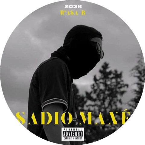 Wasa-B