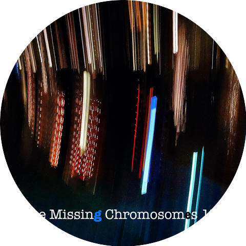 The Missing Chromosomes