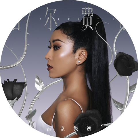 Jike Junyi