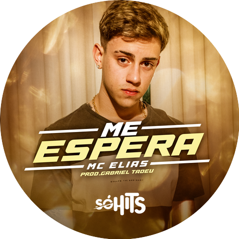 Mc Elias & Gabriel Tadeu